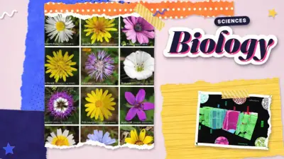 FourSkill course art for Biology