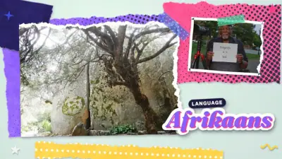FourSkill course art for Afrikaans